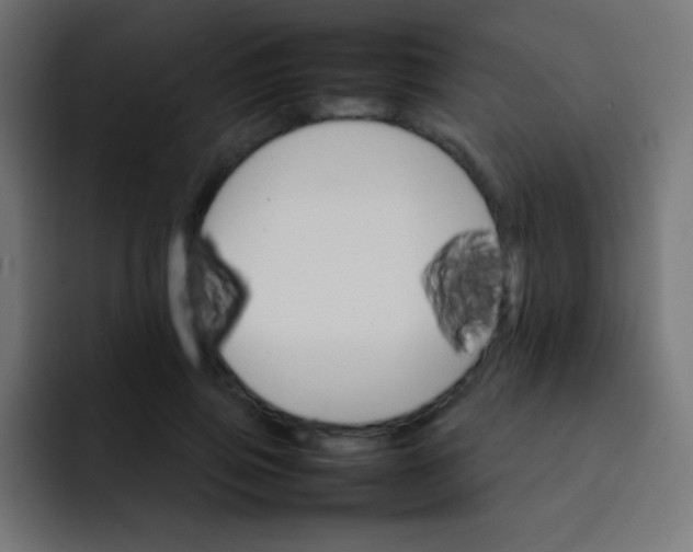 X0000092070741200710031118