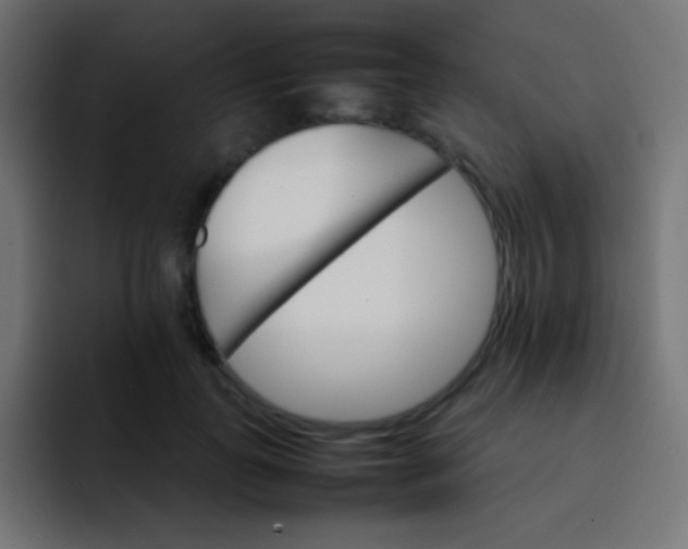 X0000092070747200710031118