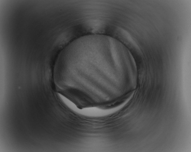 X0000092070748200710031118