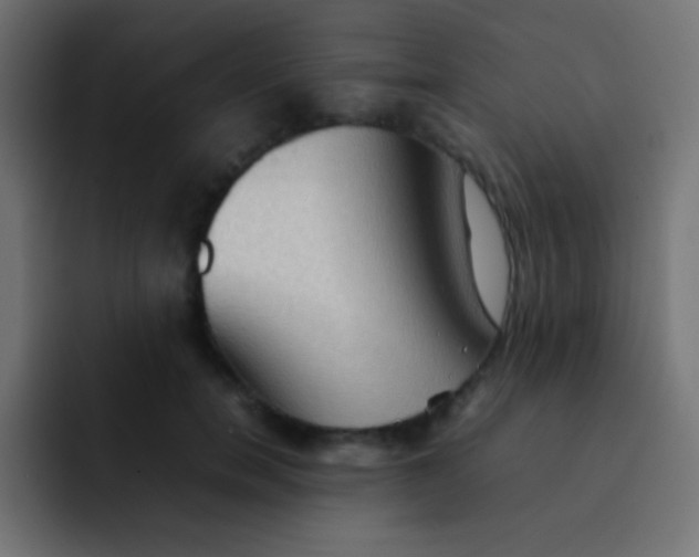 X0000092070750200710031118