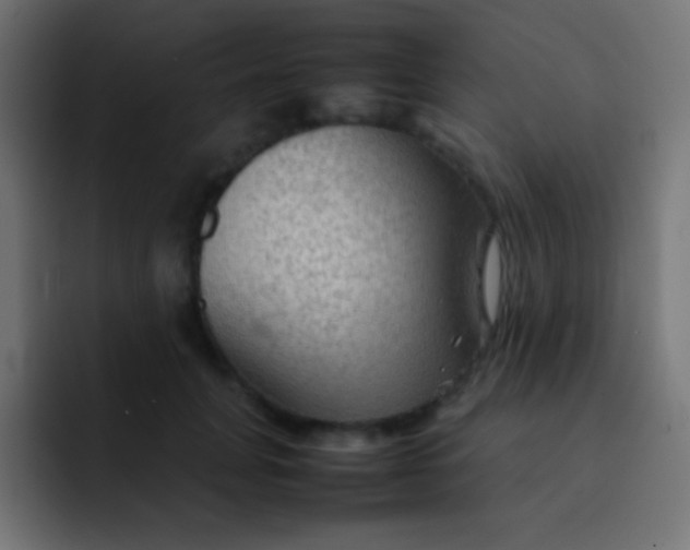X0000092070751200710031118