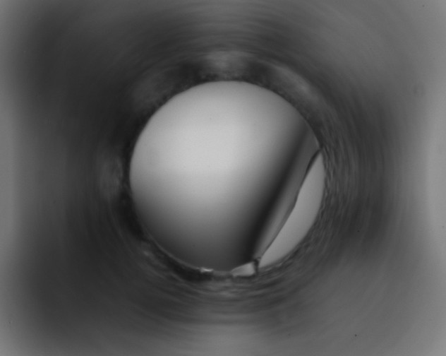X0000092070752200710031118