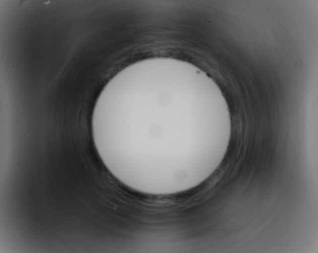 X0000092070754200710031118