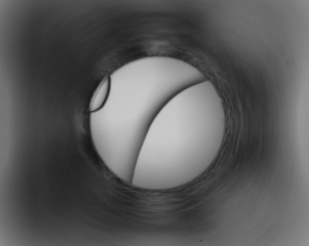 X0000092070755200710031118