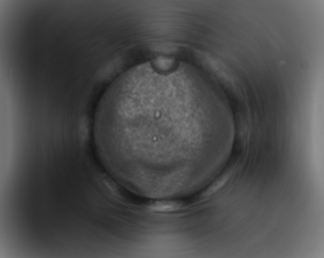 X0000092070758200710031118