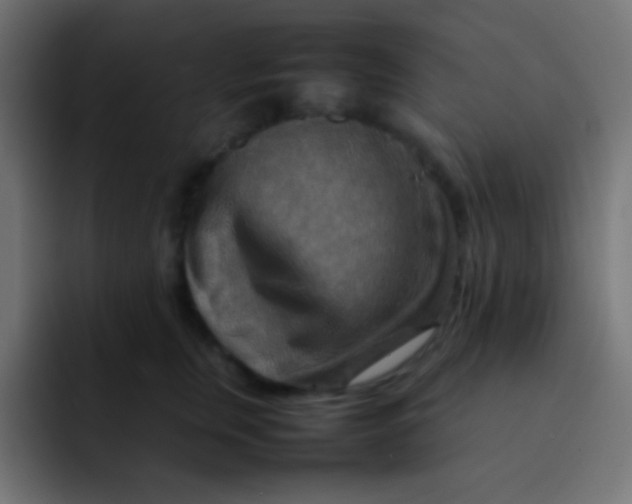 X0000092070759200710031118