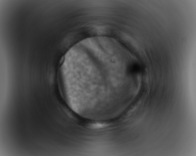 X0000092070760200710031118