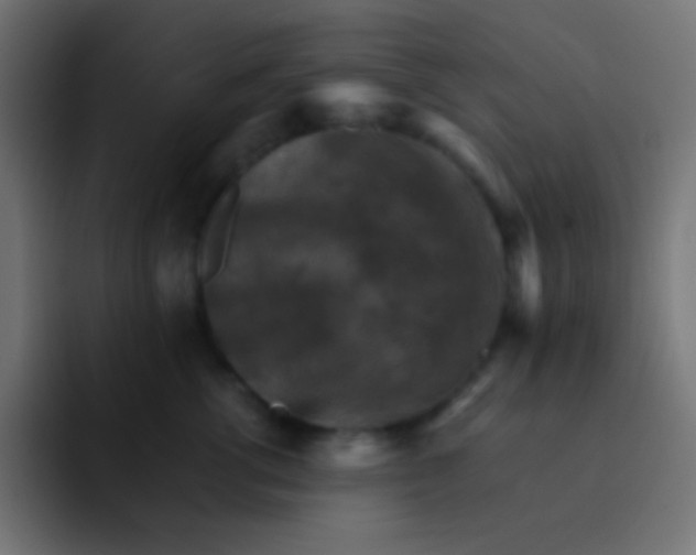 X0000092070762200710031118