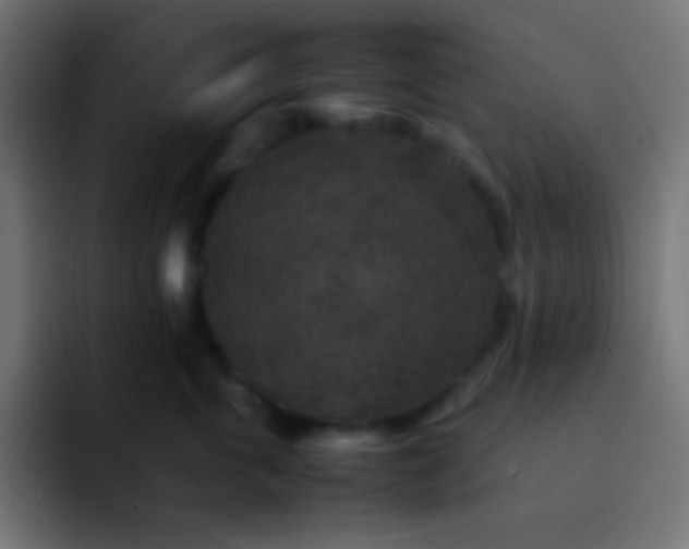 X0000092070763200710031118