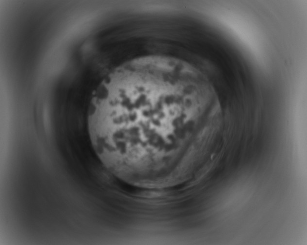 X0000092070765200710031118