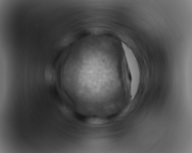 X0000092070766200710031118