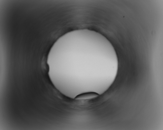 X0000092070768200710031118