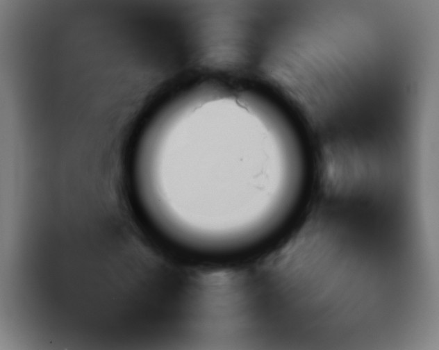 X0000092070769200710031118