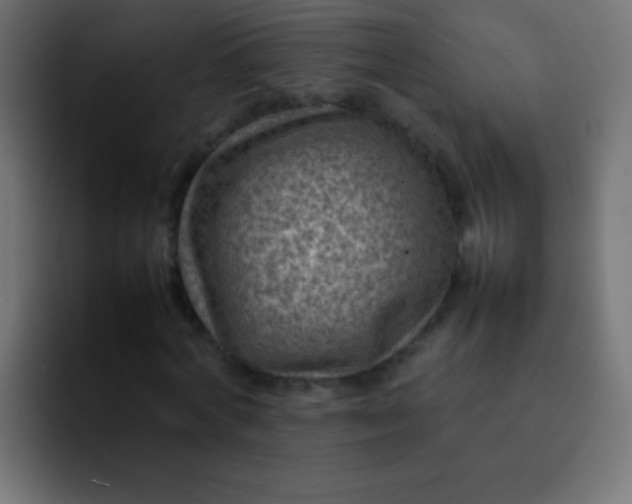 X0000092070772200710031118