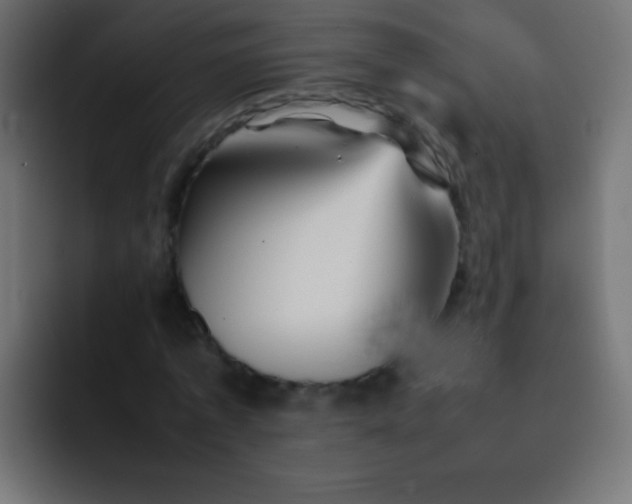 X0000092070773200710031118