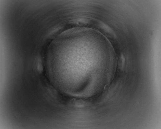 X0000092070774200710031118