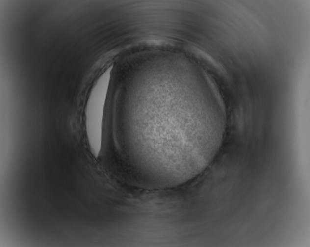 X0000092070776200710031118