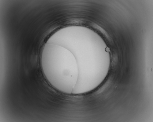 X0000092070778200710031118