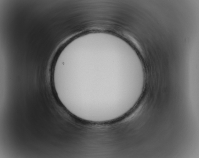 X0000092070779200710031118