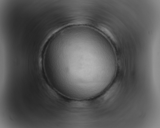 X0000092070781200710031118
