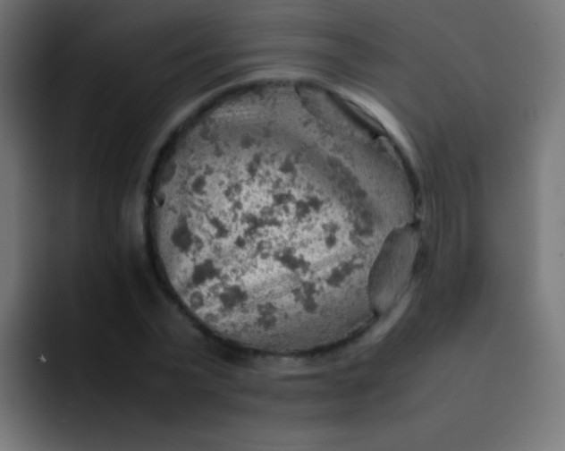X0000092070783200710031118