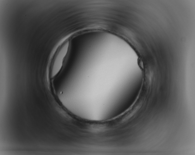 X0000092070788200710031117