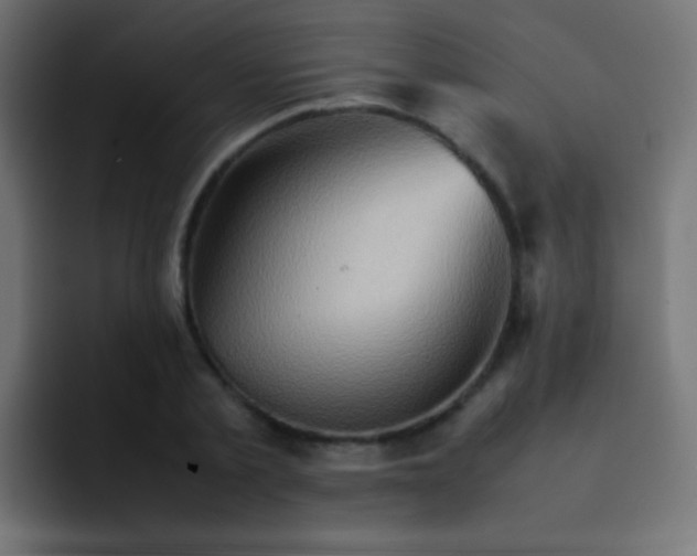 X0000092070789200710031117