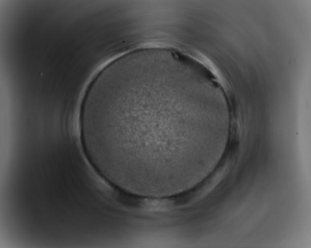 X0000092070795200710031117