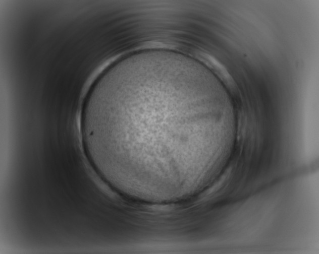 X0000092070796200710031117