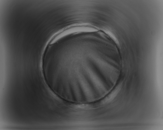 X0000092070797200710031117