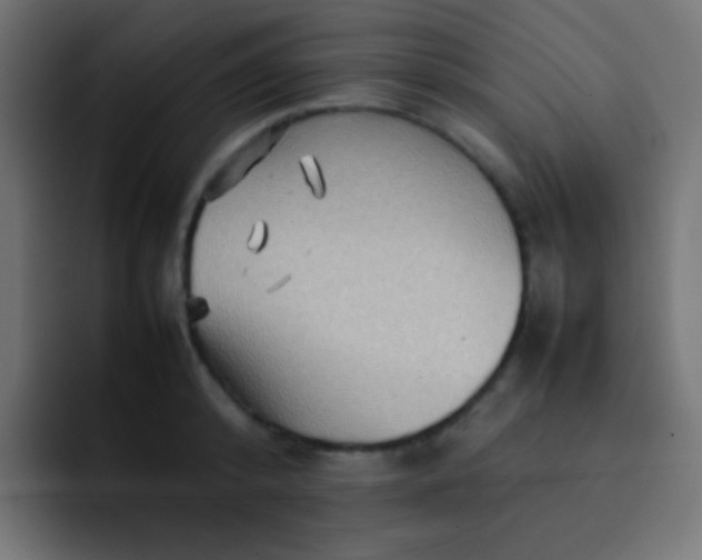 X0000092070800200710031117