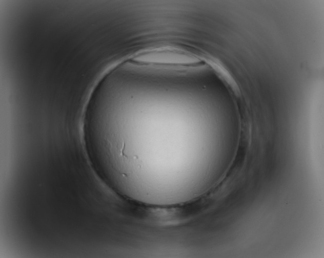X0000092070805200710031117