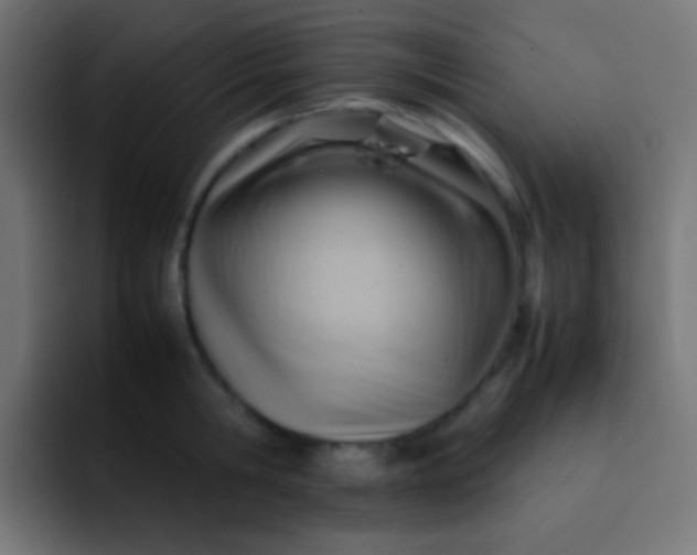 X0000092070806200710031117