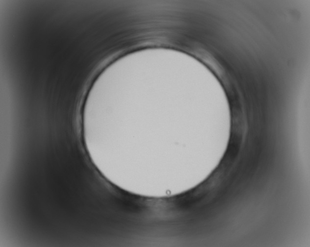 X0000092070807200710031117