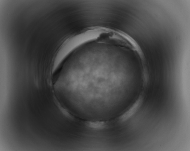 X0000092070809200710031117