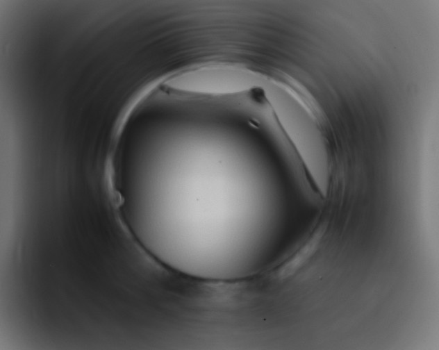 X0000092070812200710031117