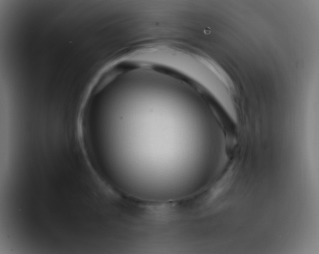 X0000092070813200710031117