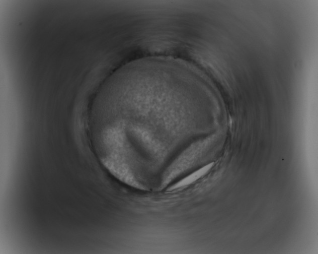 X0000092070817200710031117