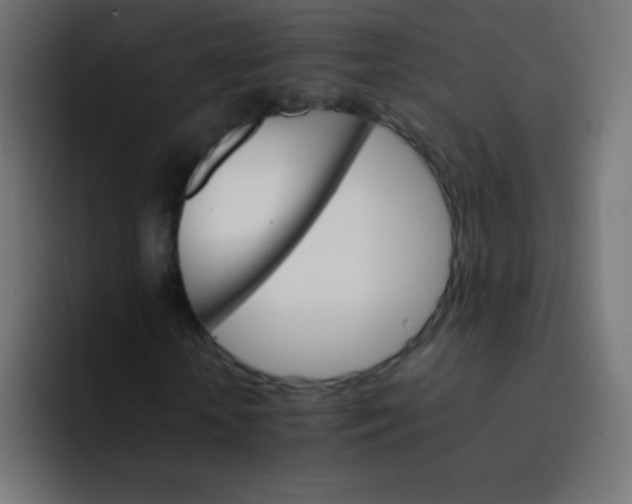 X0000092070818200710031117