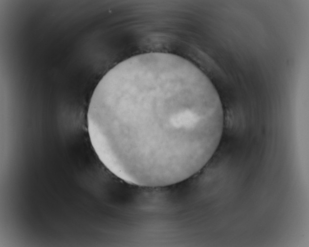 X0000092070820200710031117