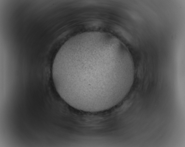 X0000092070821200710031117