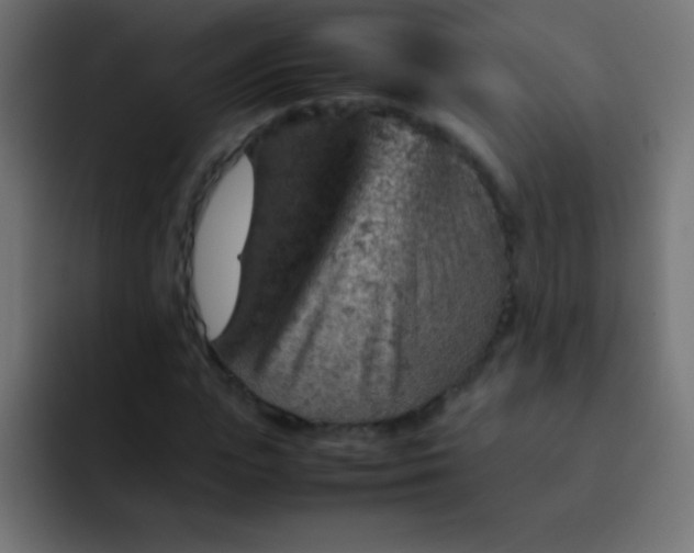 X0000092070823200710031117