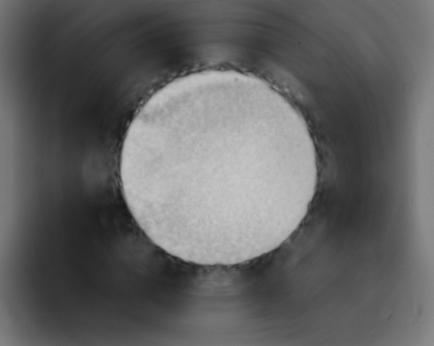 X0000092070824200710031117