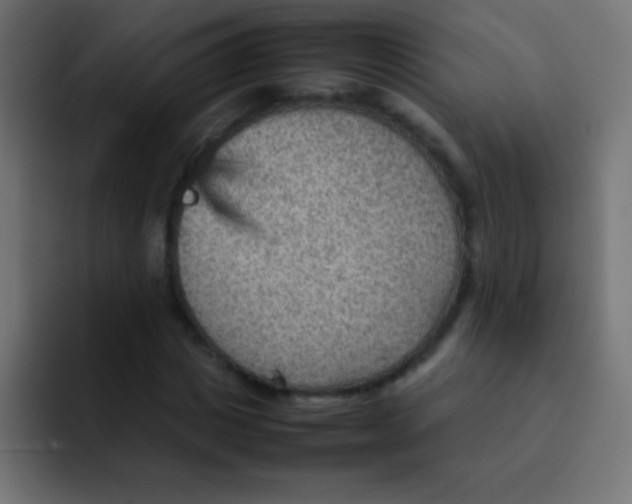 X0000092070825200710031117