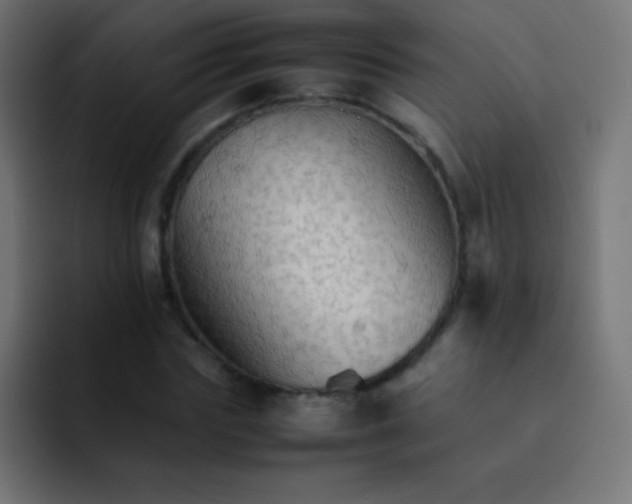 X0000092070827200710031117