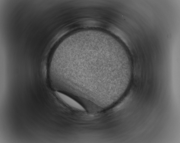 X0000092070829200710031117