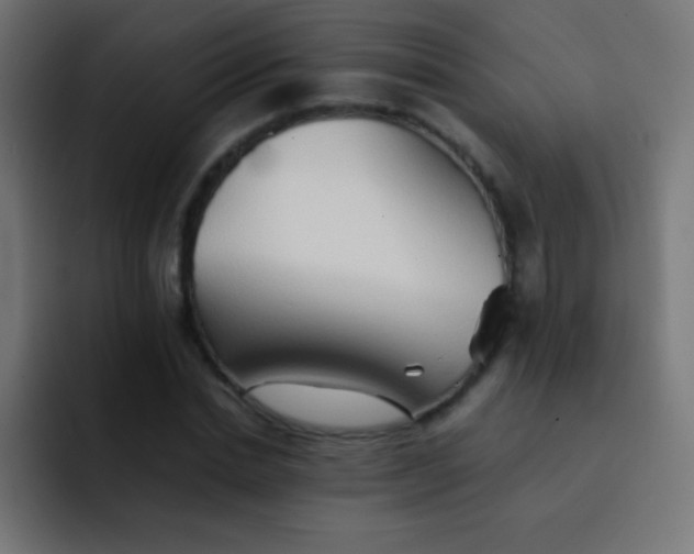 X0000092070830200710031117