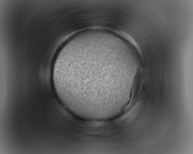X0000092070831200710031117