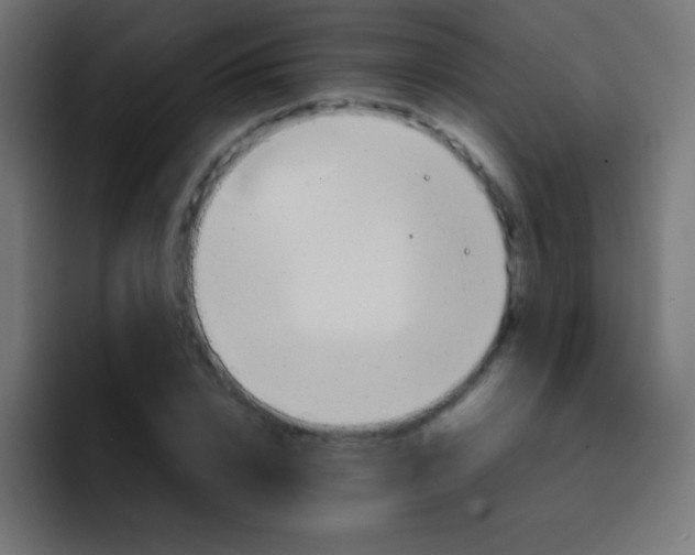 X0000092070832200710031117