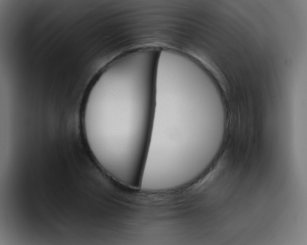 X0000092070834200710031117